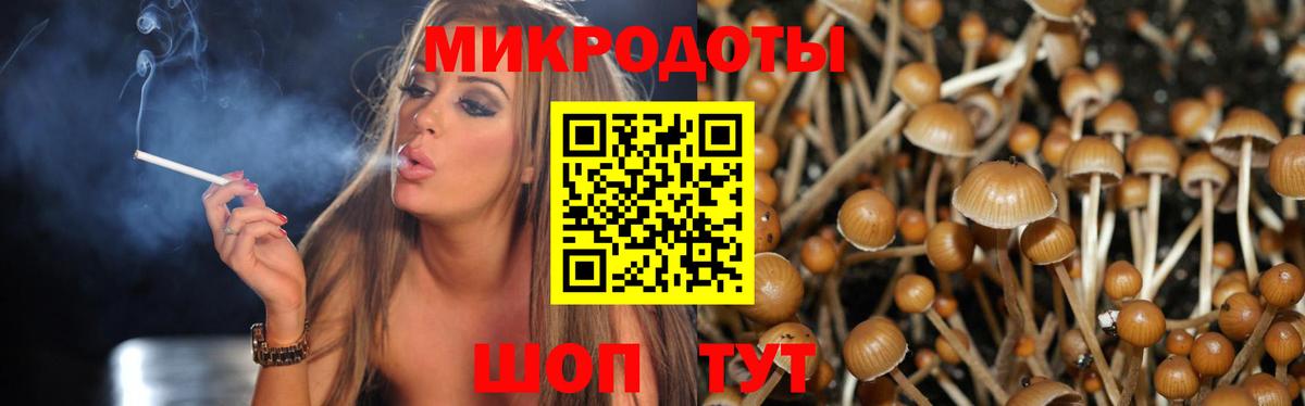Псилоцибиновые грибы Magic Shrooms  Вход с VPN  Мурманск 
